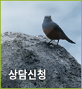 상담신청